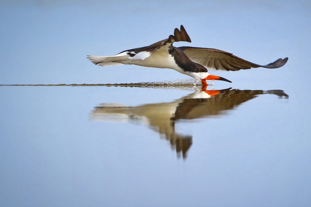 Check out the latest newsletter!