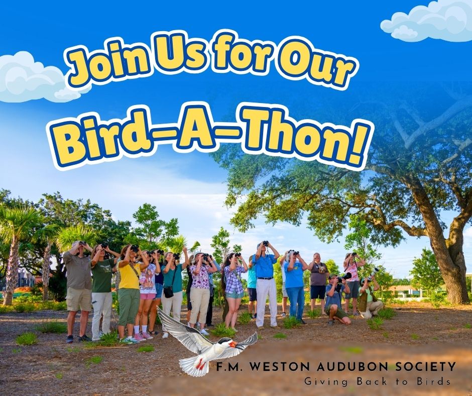 Bird-a-thon 2026
